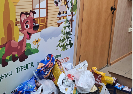 Optilens: видеть сердцем, помогать делом